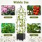 Costway 1/2 PCS Raised Garden Bed Tomato Cage Planter Box with PE-Coated Metal Trelli Wheels